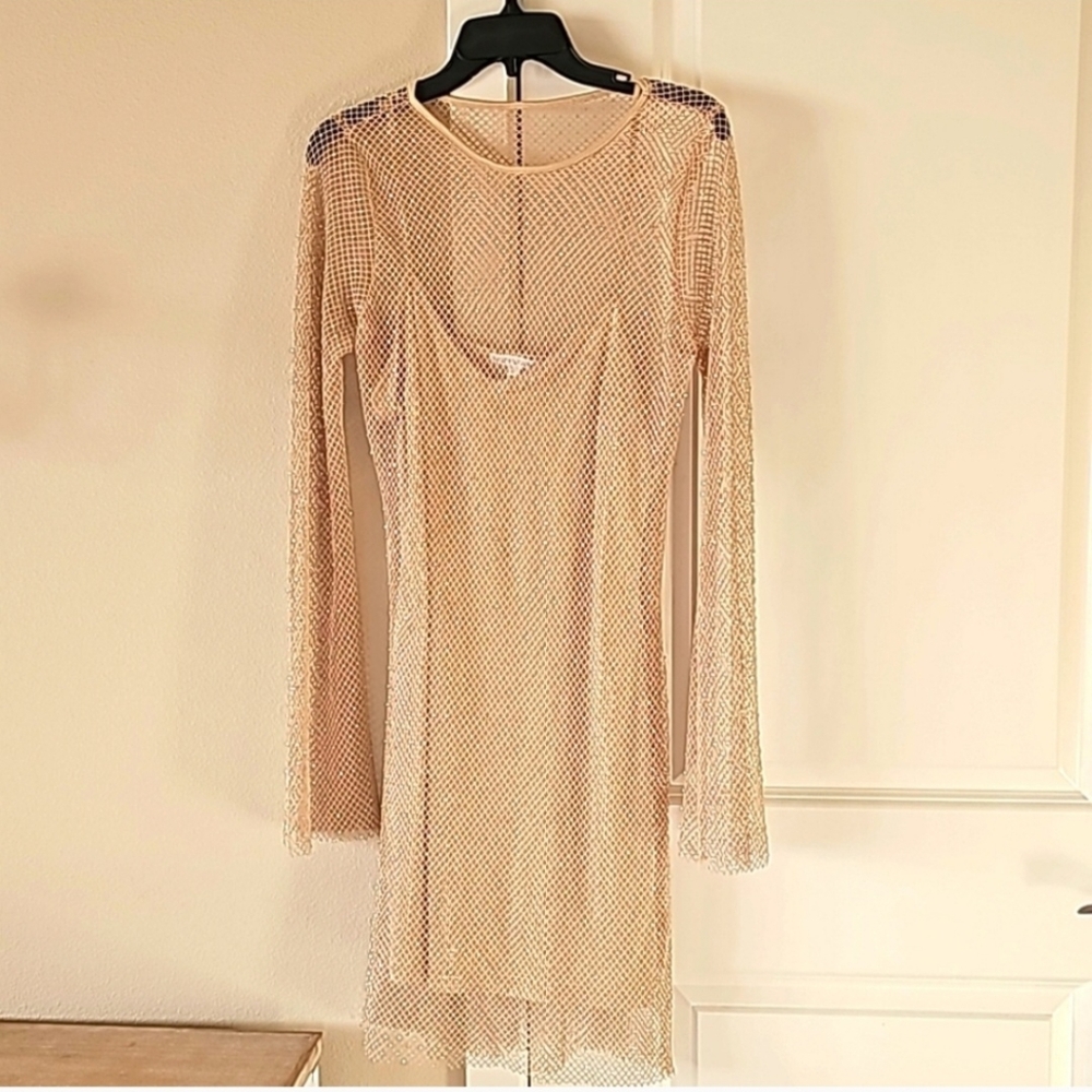 Sincerely Jules Cream Mesh Long Sleeve Dress